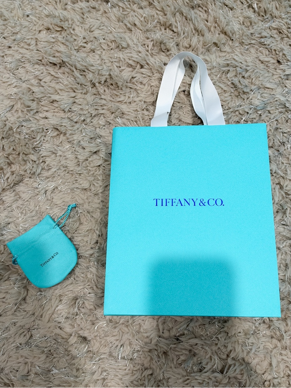 Brand new Tiffany & Co. Shopping bag with travel pouch